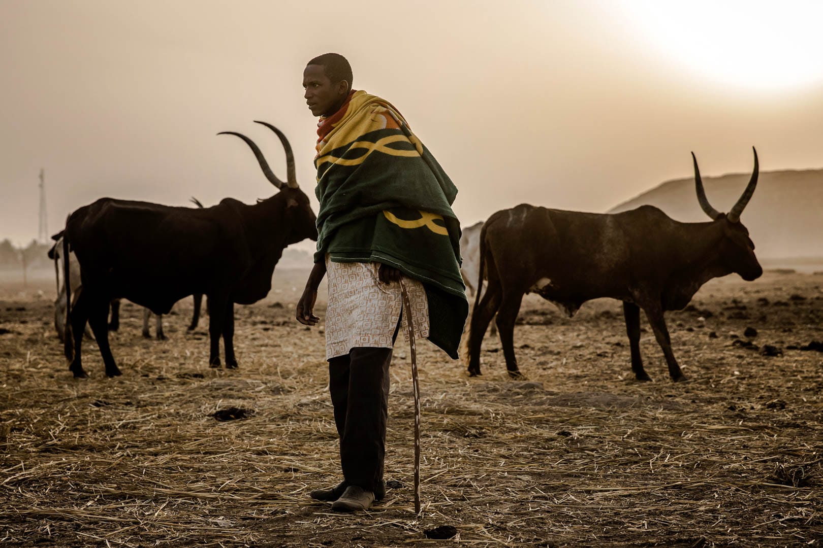 Ending Nigeria’s HerderFarmer Crisis The Livestock Reform Plan